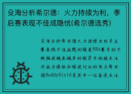 殳海分析希尔德：火力持续为利，季后赛表现不佳成隐忧(希尔德选秀)